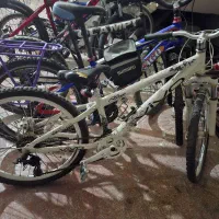 دوچرخه ۲۴ اصلی ویوو