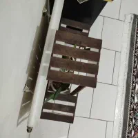 دوعدد گلدون و تنگ ماهی واستند با گلدون|ماهی|پرند, فاز ۶|دیوار