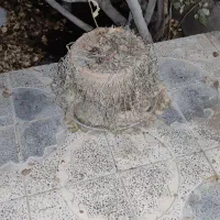 حراج وسایل مورد نیاز....|حراج|شیراز, امام حسین|دیوار