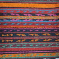 تازه ونو ب فروش میرسد