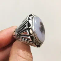شجر رکاب زنجان|جواهرات|اصفهان, خرم|دیوار