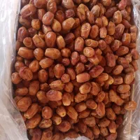 خرمای زاهدی|عمده‌فروشی|اسفرورین, |دیوار