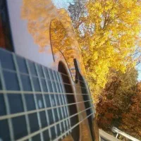 آموزش تخصصی گیتار