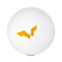 توپ پینگ پنگ دبل فیش شاخدار - ۲۰۲۶