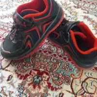 سرویس ۶ نفره|ظروف سرو و پذیرایی|گنبد کاووس, |دیوار