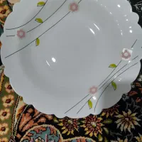 ظروف آرکوپال|ظروف سرو و پذیرایی|نیشابور, پاستور|دیوار