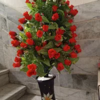 گل و گلدان در حد نو