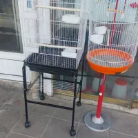 قفس و دان پرندگان زینتی|لوازم جانبی حیوانات|زنجان, |دیوار