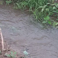 فروش یا اجاره زمین کشاورزی با سهمیه اب