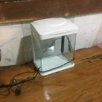 اکواریم فروشی در حد نو|ماهی|بجنورد, |دیوار