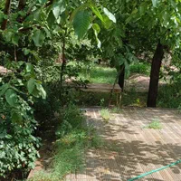 اجاره روزانه راین|اجارهٔ کوتاهمدت ویلا و باغ|راین, |دیوار