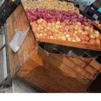 نایلکس