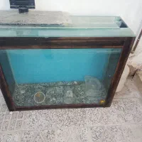 آکواریوم بزرگ سالم