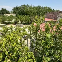 ویلاباغ۵۲۰متری دوبر  سهیلیه زعفرانیه تهراندشت|فروش خانه و ویلا|کرج, دانشگاه هنر تهران (پردیس کرج)|دیوار