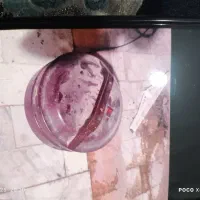 و جاروبرقی وتلوزیون معاوضه بامرغ وجوجه