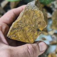 سنگ شجرکلکسیونی|کلکسیون اشیاء عتیقه|مشهد, هفده شهریور|دیوار