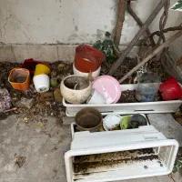 تعدادی گلدان