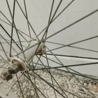 رینگ دوچرخه|دوچرخه، اسکیت، اسکوتر|تربت جام, میان جام|دیوار