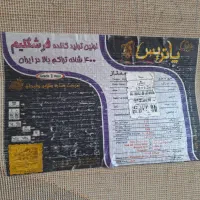 قالیچه نینا (پاتریس )|فرش|کرمان, |دیوار