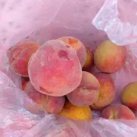 هلو شیرین و ارگانیک