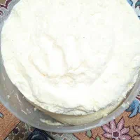 کره  محلی گاو تلمی