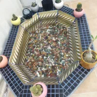 حوضچه با دستگاه اکسیژن برا ماهی آکواریوم