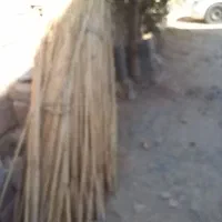 نی تمیز و پاک شده|سازهای سنتی|ایوان, |دیوار