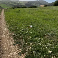 زمین  کشاورزی در منطقه زیبای کوهپس دیلمان|فروش زمین و ملک کلنگی|دیلمان, |دیوار