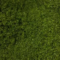 سبزی خورشتی آماده طبخ