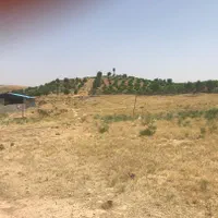 زمین ۴۰۰۰ متر مسکونی روستای ابگرم سپیدان طرح هادی|فروش زمین و ملک کلنگی|شیراز, دکتر حسابی|دیوار