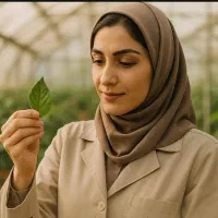 استخدام گیاه پزشک یا فردی که سابقه کار دارد