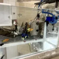 تمام تجهیزات آکواریوم + شیشه آکواریوم رایگان|ماهی|مرودشت, ابوذر شمالی|دیوار