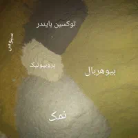 دان بوقلمون ، مرغ ، بلدرچین|لوازم جانبی حیوانات|کبودرآهنگ, |دیوار