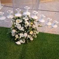 160متر چمن مصنوعی ۱۵میل در حد نو یو وی دار|گل مصنوعی|وحیدیه, |دیوار