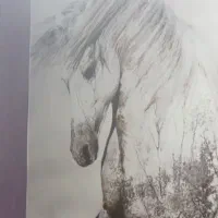 انجام پروژه و کارهای جوشکاری و ساختمان