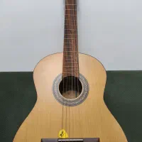 گیتار مدل P70 پارسی