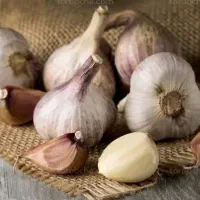 بسته بندی میوه