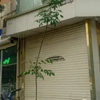 اپارتمان