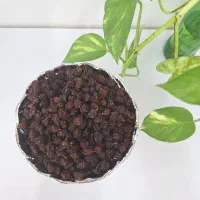 کشمش اعلا سیاهگل  ایوان کیلویی ۳۰۰ هزار تومان