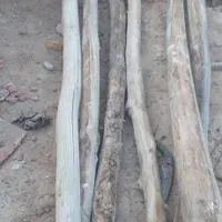 خریدفروش اهن الات ضایعات چوب تخته بشکه|عمده‌فروشی|تهران, آرژانتین|دیوار