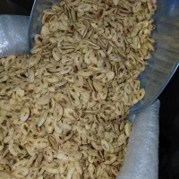 تخمه کدو درشت درجه یک خالدار و گوشتی