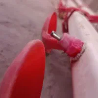 آب‌خوری بلدرچین و مرغ