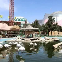 آگهی نیرو آقا برای کار در مجتمع خدمات و گردشگری