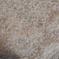 برنج وخورده برنج کامفیروزی درجه یک|خوردنی و آشامیدنی|شیراز, کوشک میدان|دیوار