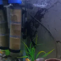 آکواریوم شیشه خم باهمه وسایل ونه تاماهی شمارگذاشتم