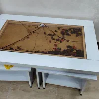 میز وسط و چهار عدد گل میز