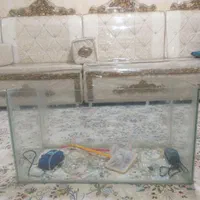 آکواریم بزرگ وتمیزهمراه با۲ددپمپ آب و۲عددتورماهی|ماهی|اهواز, بهارستان|دیوار