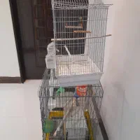 فروش قفس پرنده
