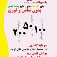 ۲۰۰ ملیون طلا بگیر و سرمایه‌ گزاری کن بدون ضامن