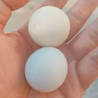 سنگ الماس آسیاب